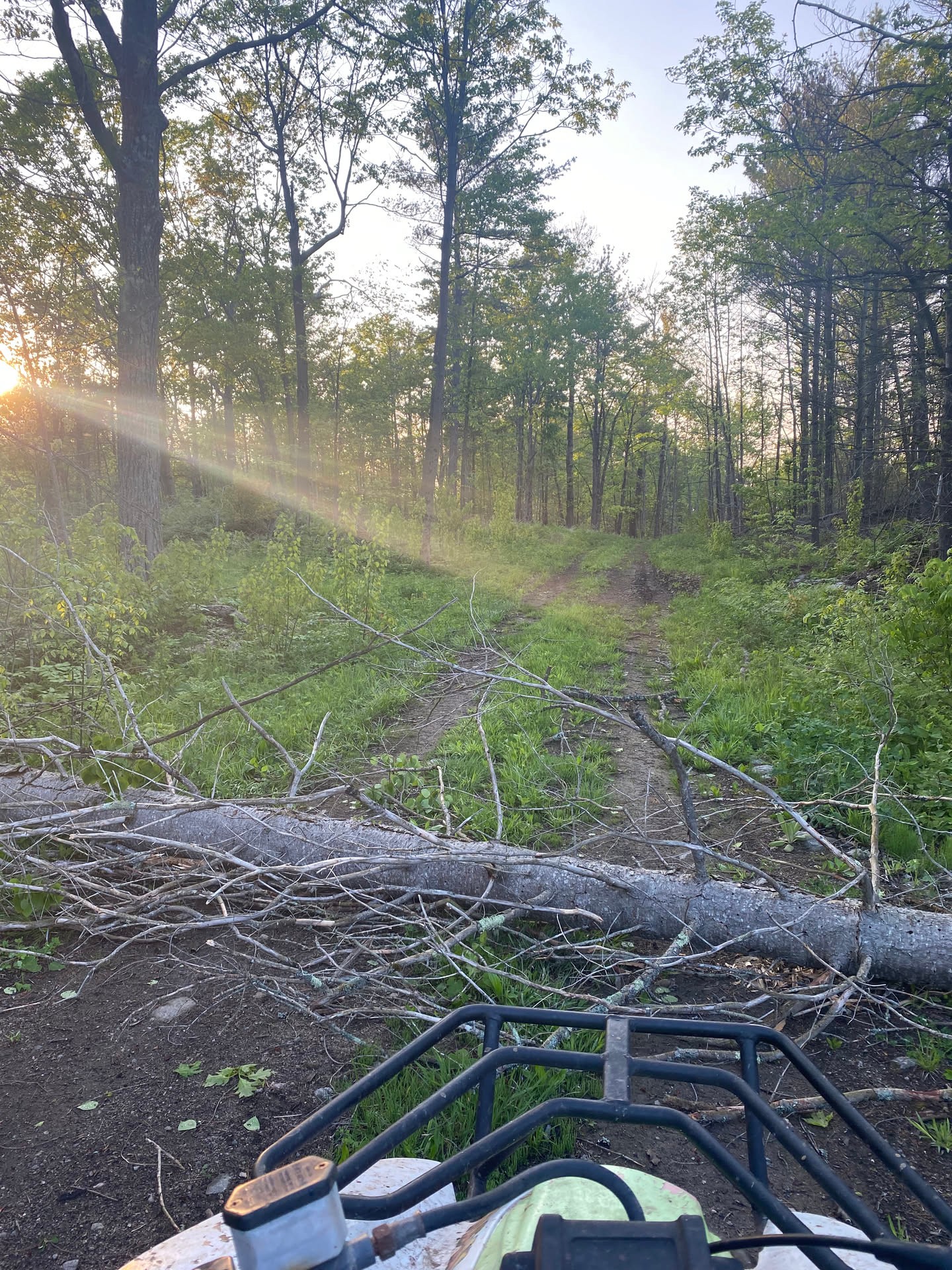 A look back at one of those spring rides where the forest road had other plans. The ATV could get us there, but the fallen tree made a good…