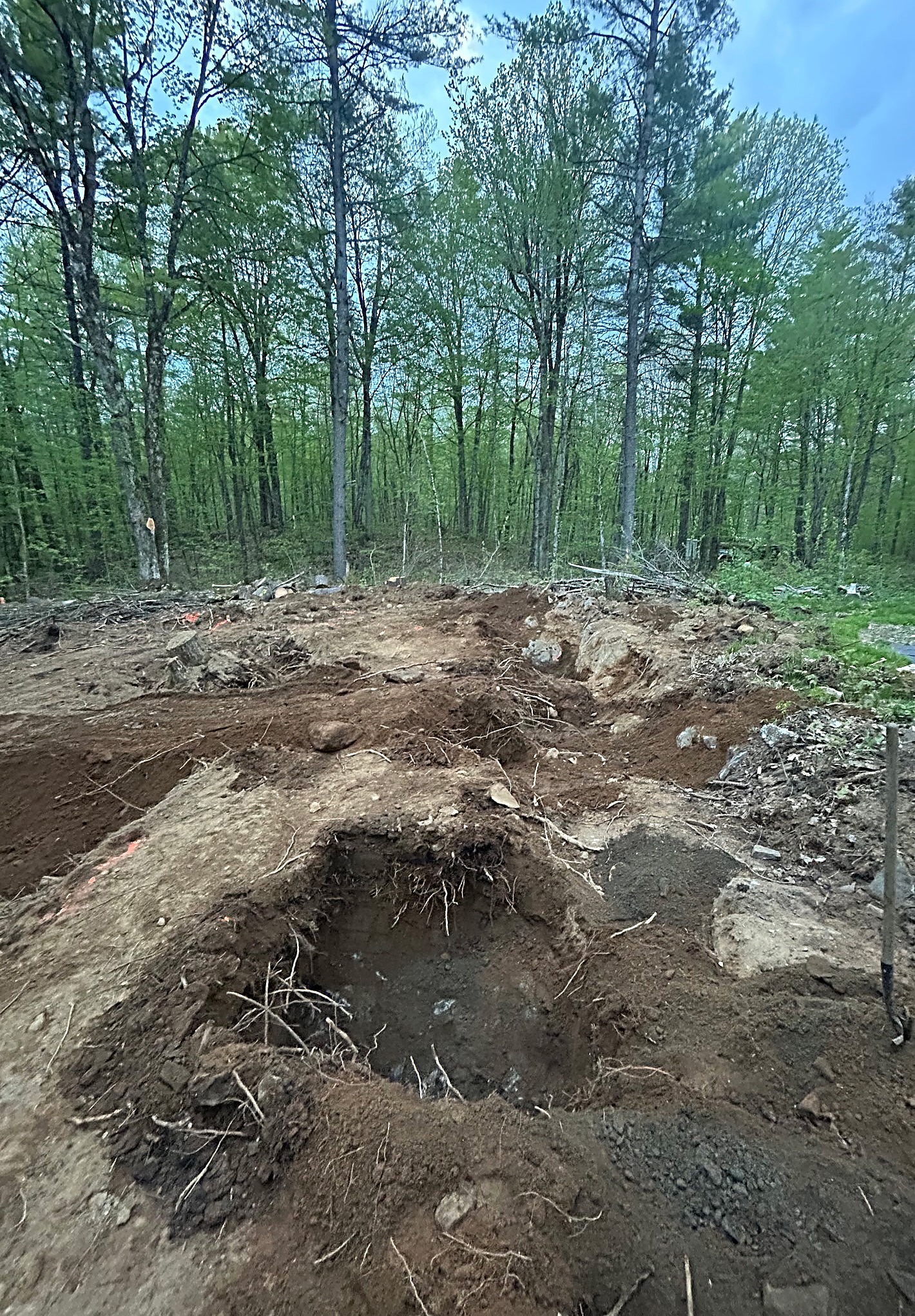 The build site is nearly down to raw earth, roots, and bedrock now. Every stump and pocket of soil tells us a little more about what the hou…
