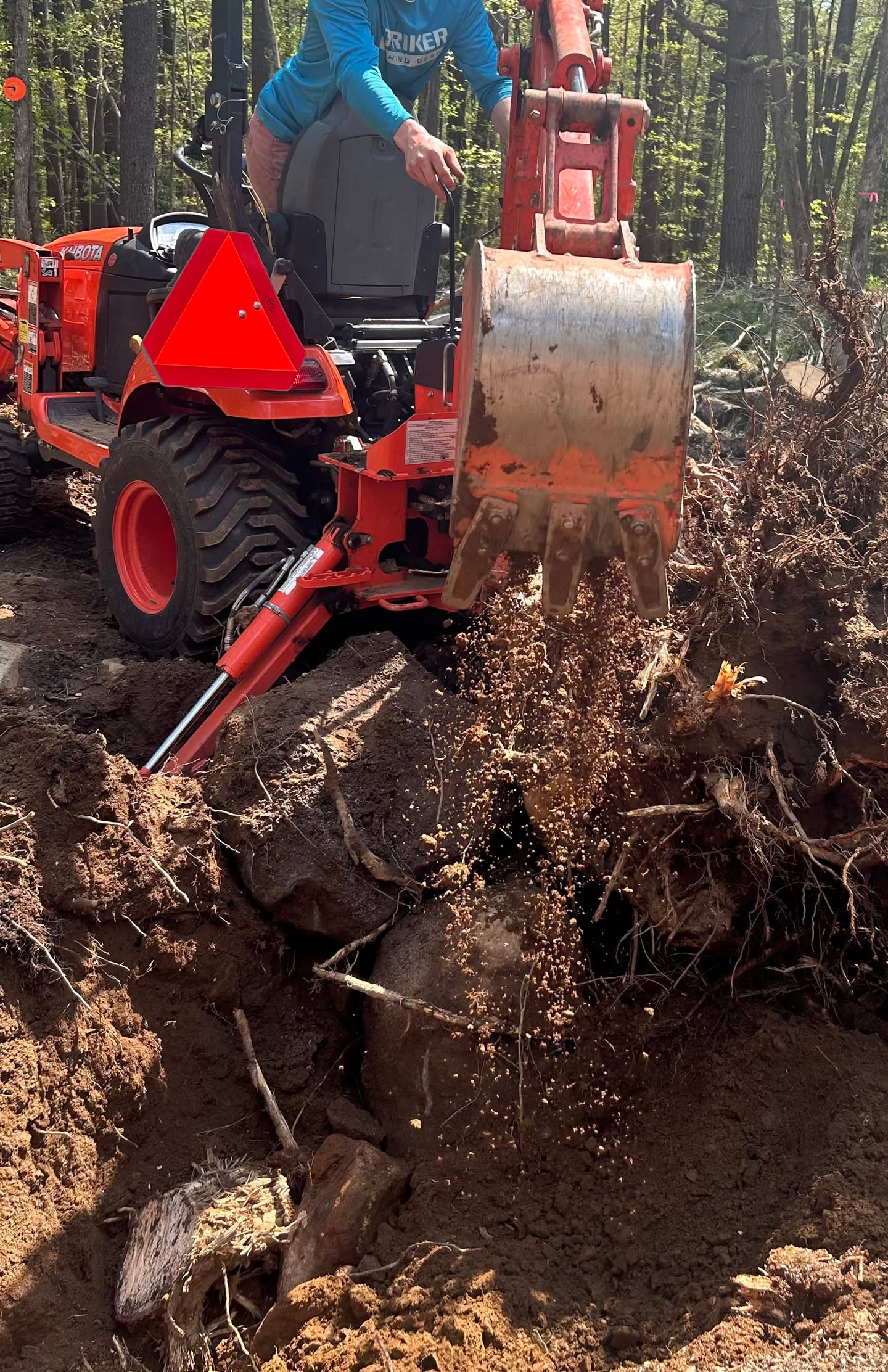 Digging through roots and rock in the spring woods, one careful bucket at a time. Slow work under the trees, with the ground giving up only…