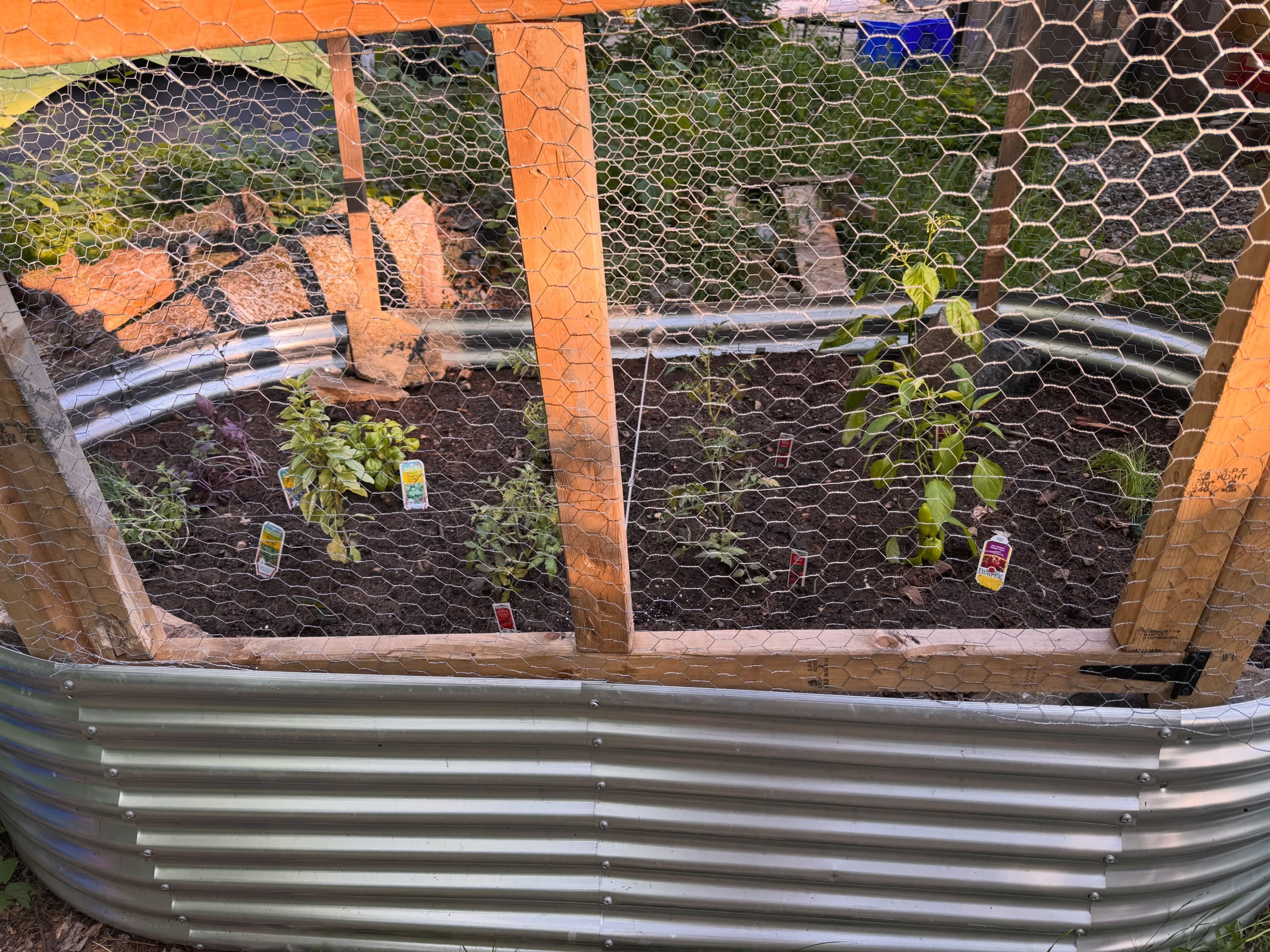 Today we finished planting our first garden. Our friend gifted us the garden bed, while our mom and her partner helped us fill and plant the…
