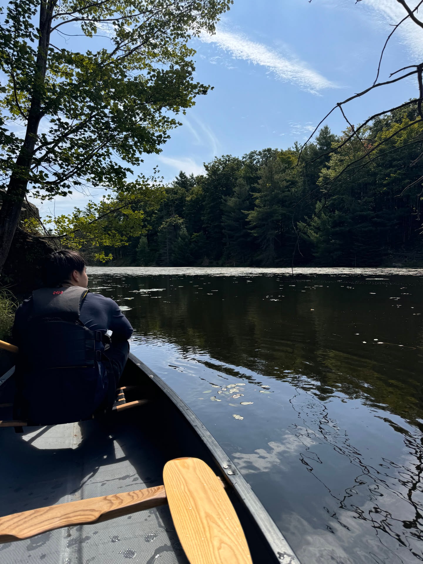 A look back at a quiet canoe ride across the pond, tucked under the forest edge with summer still heavy in the trees.